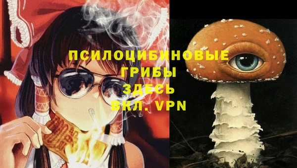 винт Белокуриха