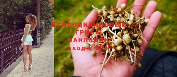 ПСИЛОЦИБИНОВЫЕ ГРИБЫ Беломорск