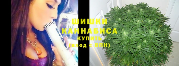 винт Белокуриха